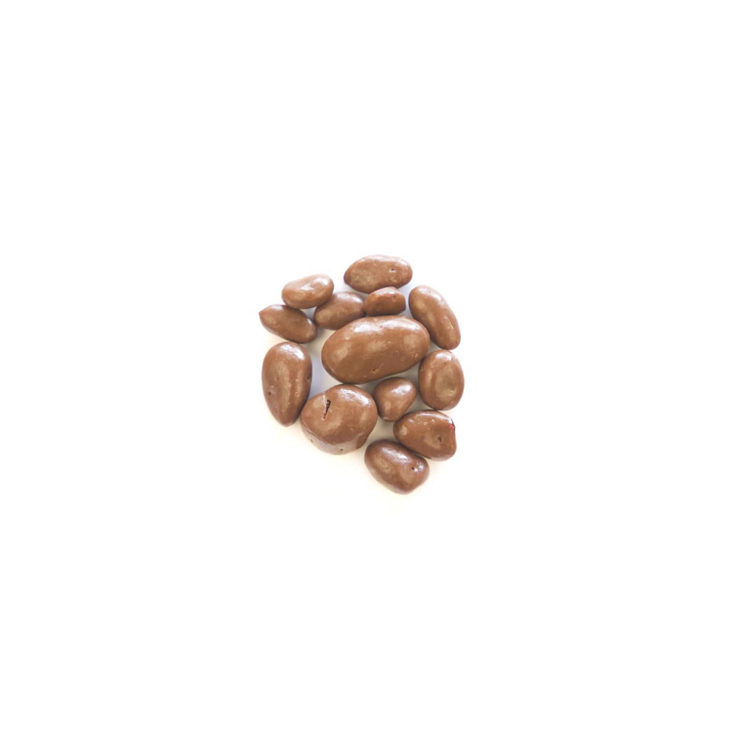 Chocolate Raisins